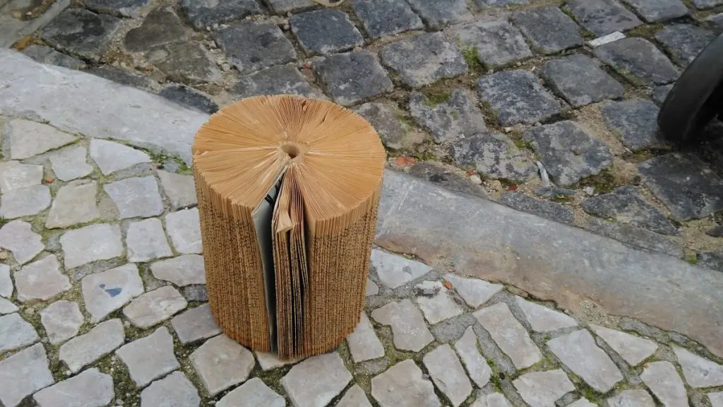 Quando um livro apanha humidade