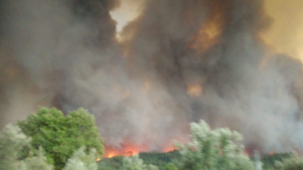 Fogos 2017 Penacova