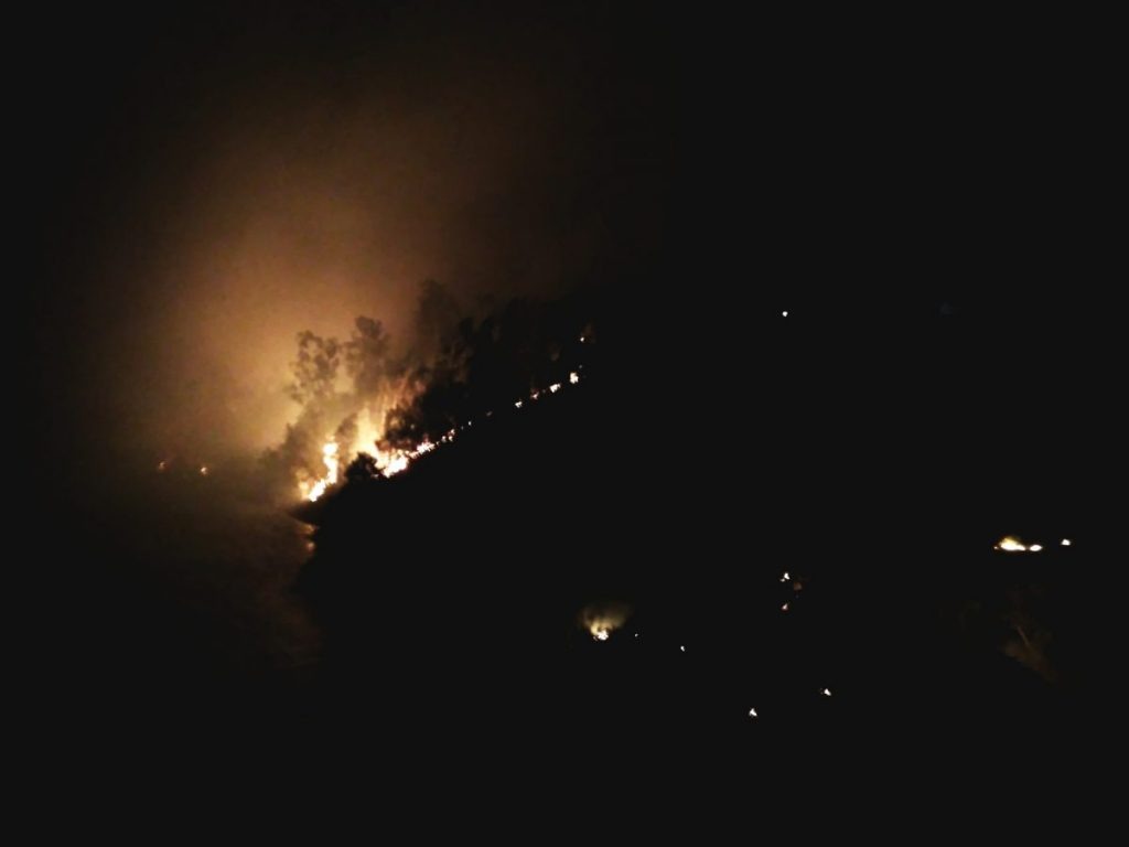 Fogos 2017 Penacova