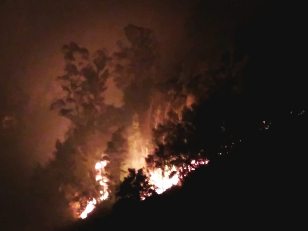 Fogos 2017 Penacova