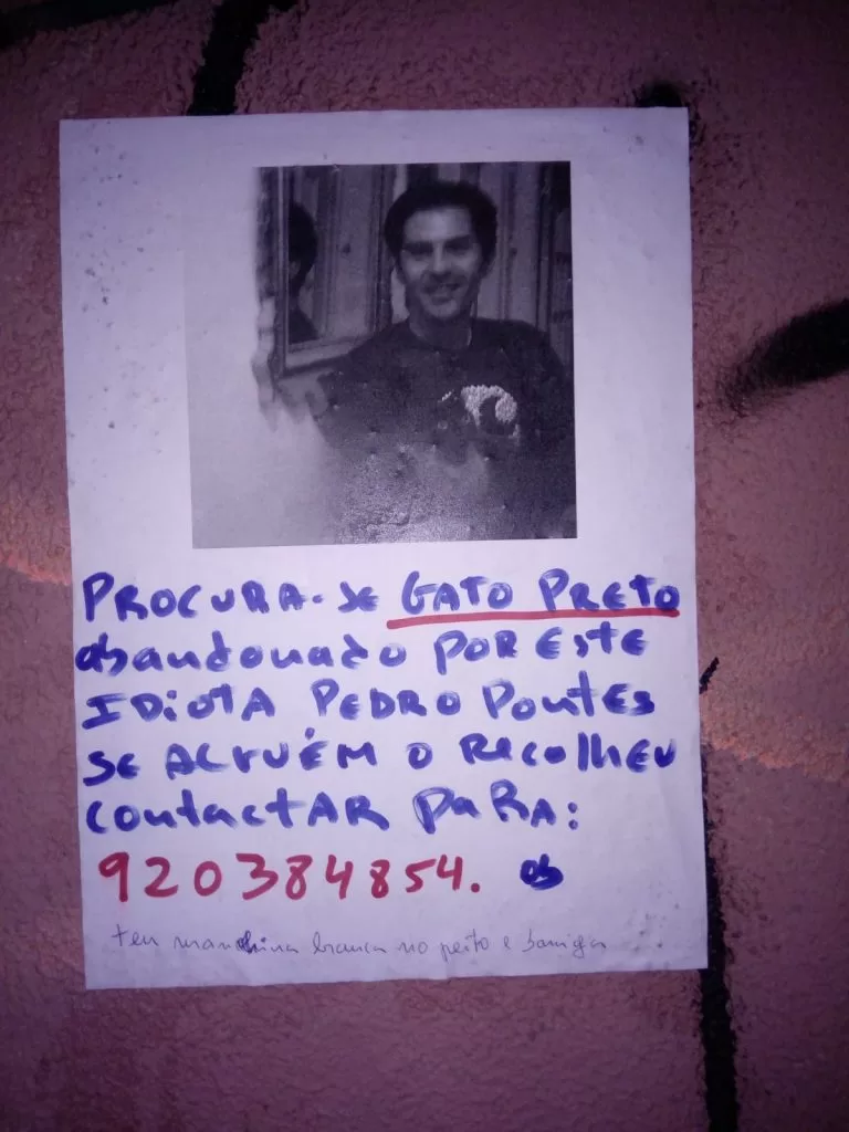 Procura-se gato perdido por idiota