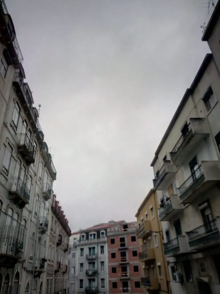 Voltou a chuva, o cinzento e o cheirinho a terra molhada