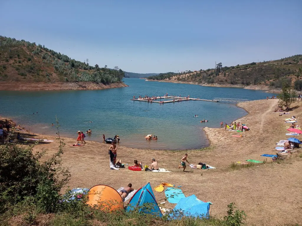 Vespeiro na piscina da barragem