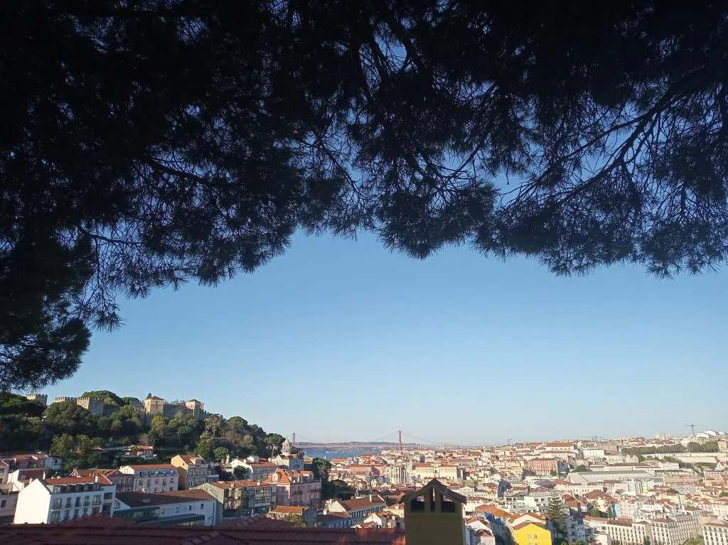 Bom dia Al-Ushbuna