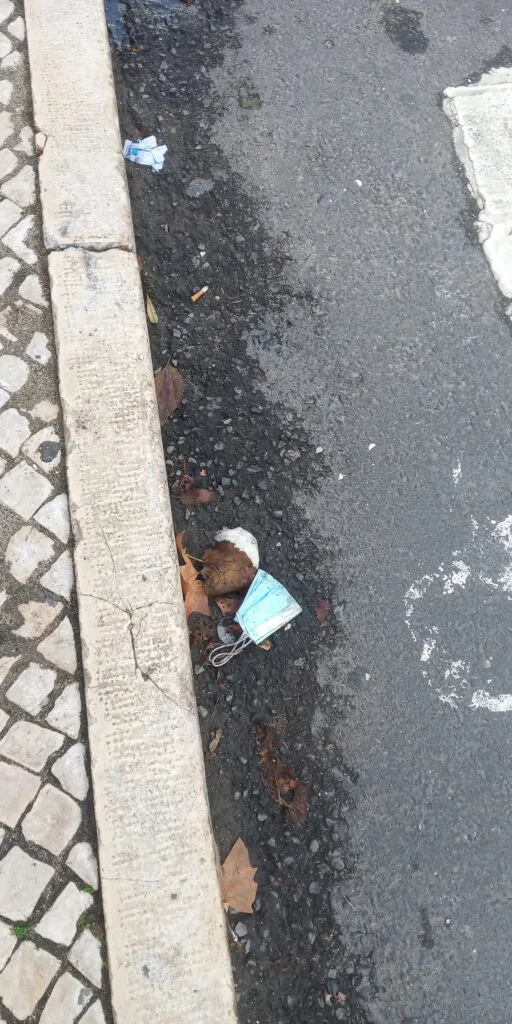 Máscara disfarçada de folhas