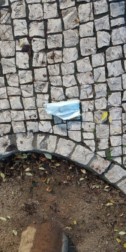 Máscara olha para a terra molhada
