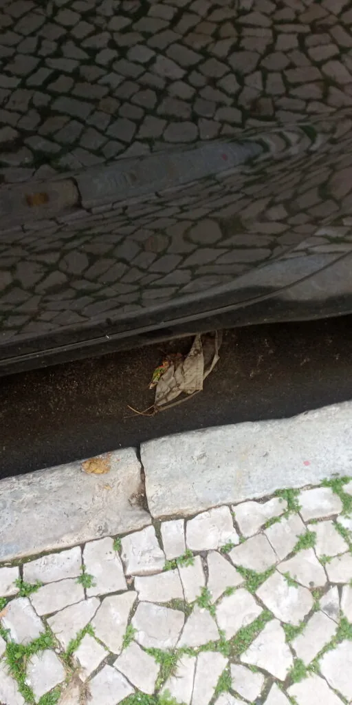 Máscara encardida