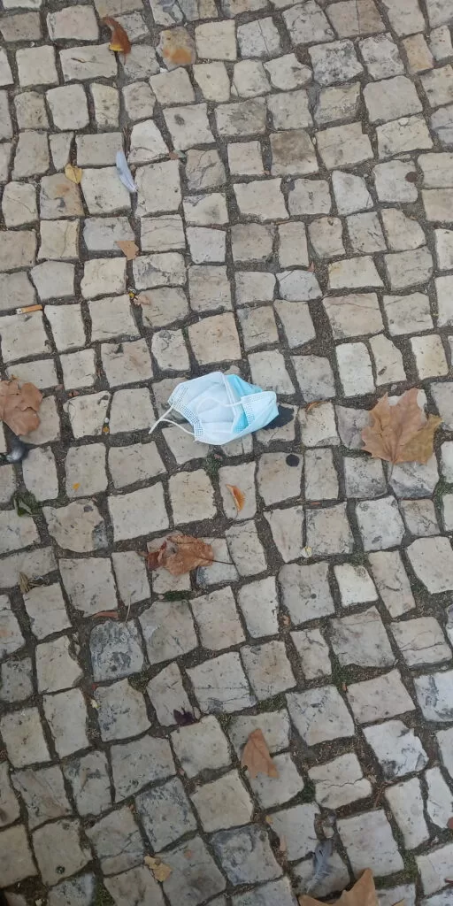 Máscara na calçada com folhas de outono