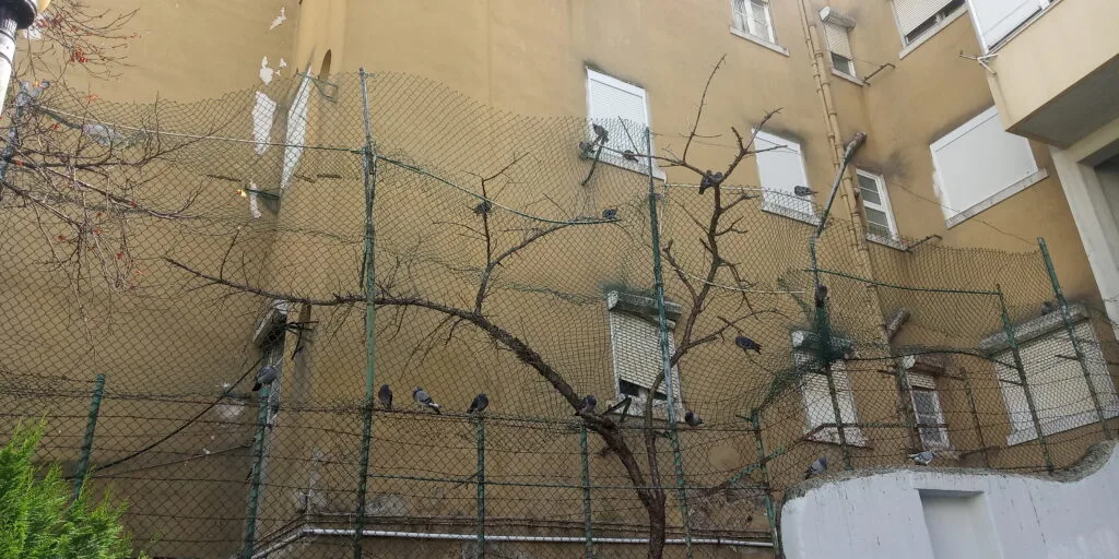 Cantinhos da Penha de França – passatempo