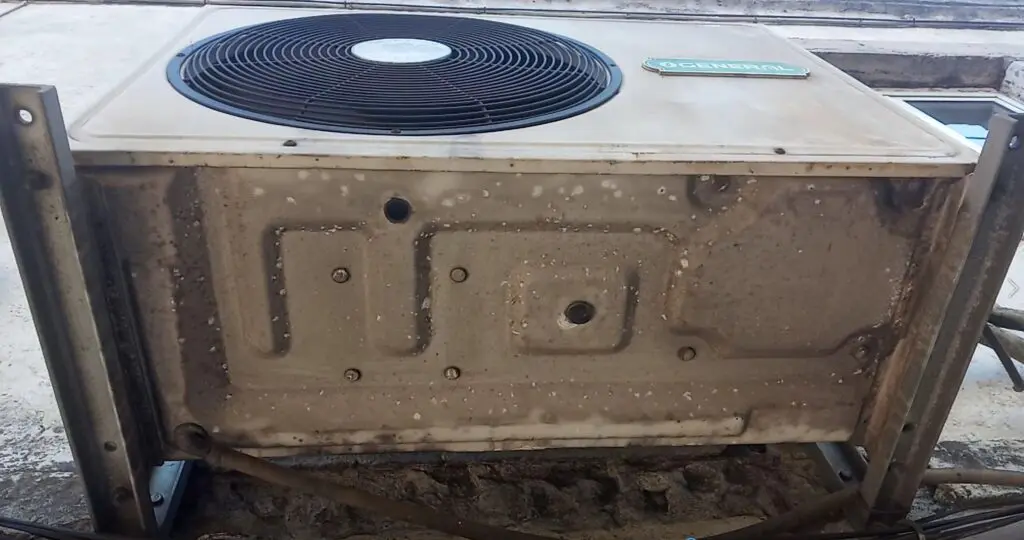 Sinfonia electrónica na rua da Graça
