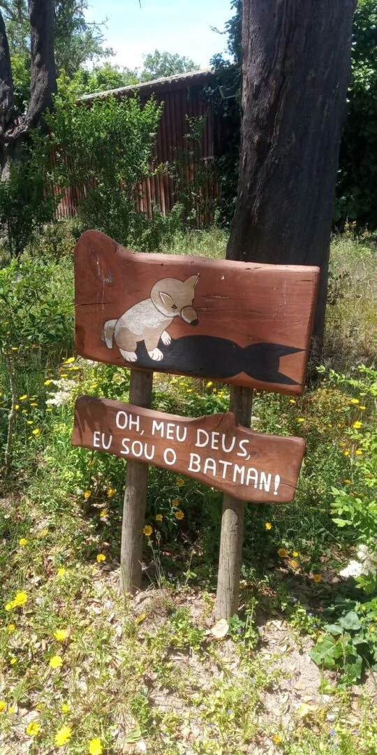 Visita ao parque Monte Selvagem