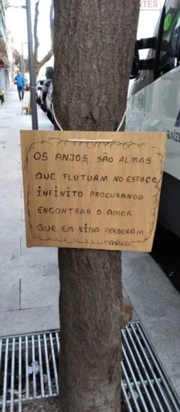 Verdades penduradas nas árvores