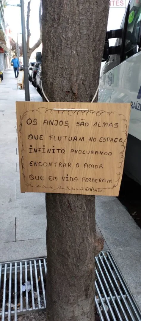 Verdades penduradas nas árvores