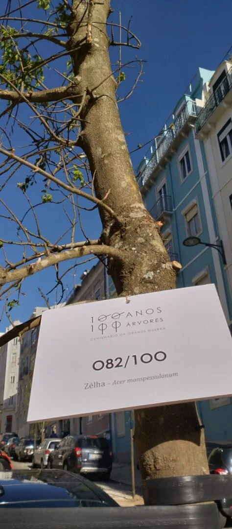 Árvores plantadas: 100 anos 100 árvores