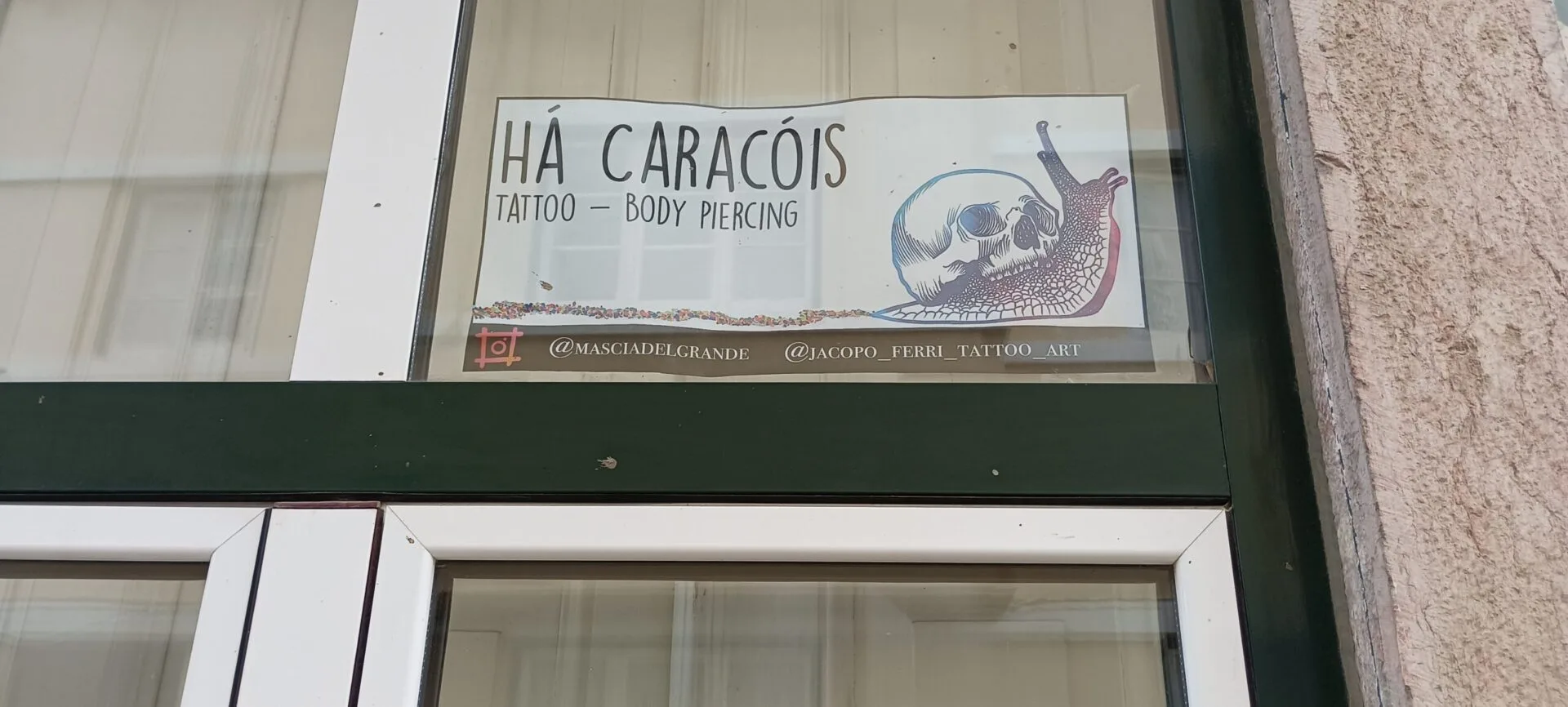 Caracóis há muitos!