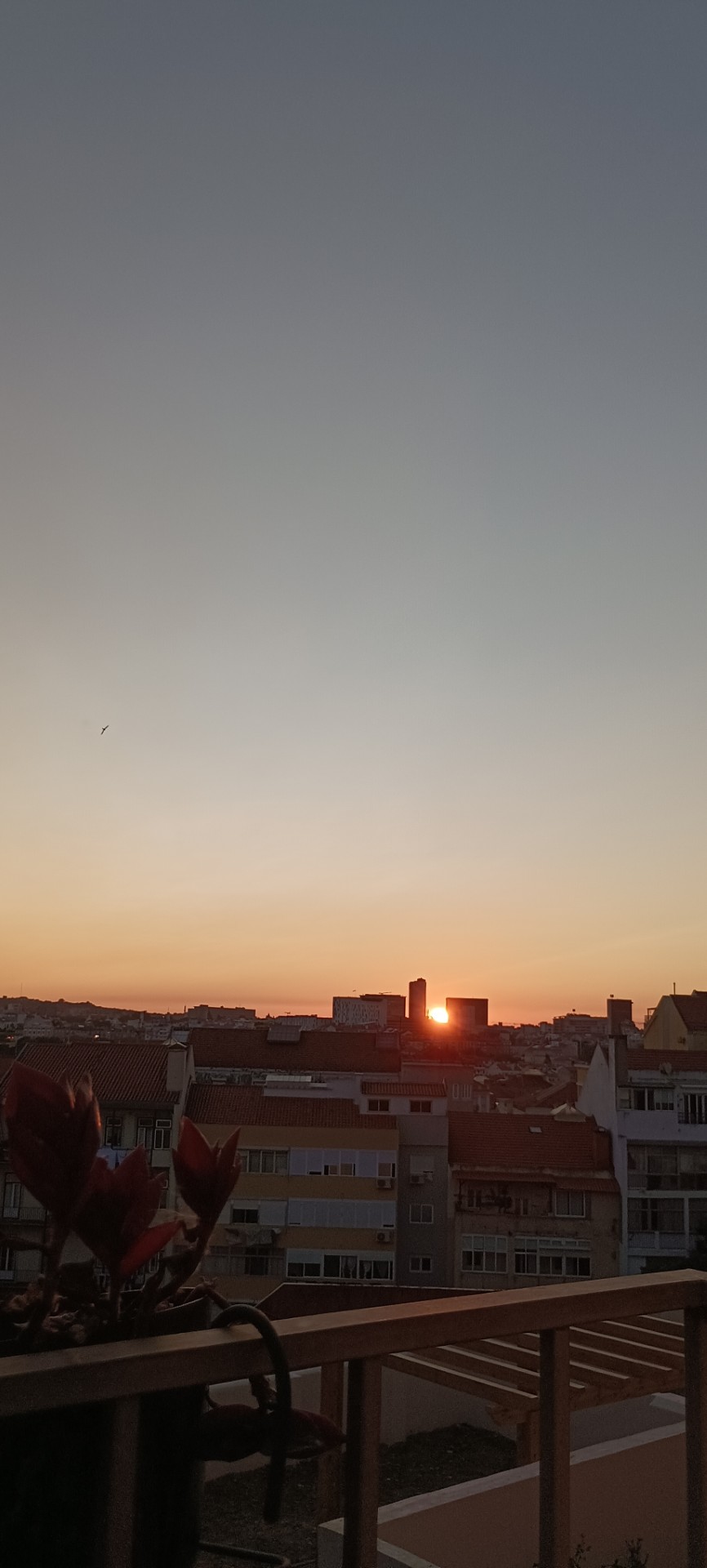 Pôr do sol entre o Sheraton e o FPM41, paisagem para reflexões