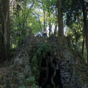 A loba da Mata do Fontelo