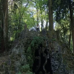 A loba da Mata do Fontelo