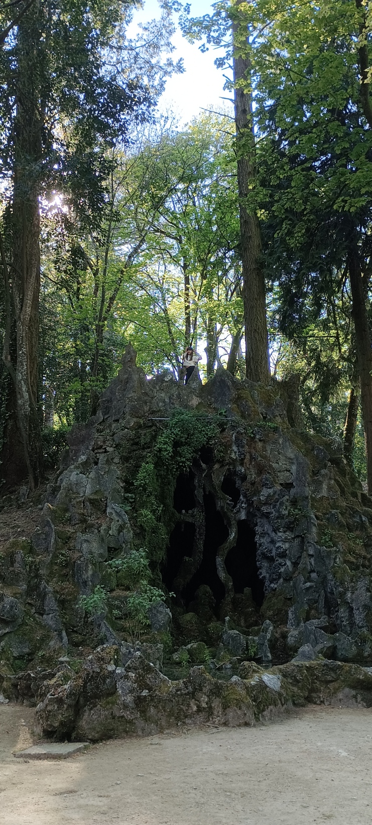 A loba da Mata do Fontelo