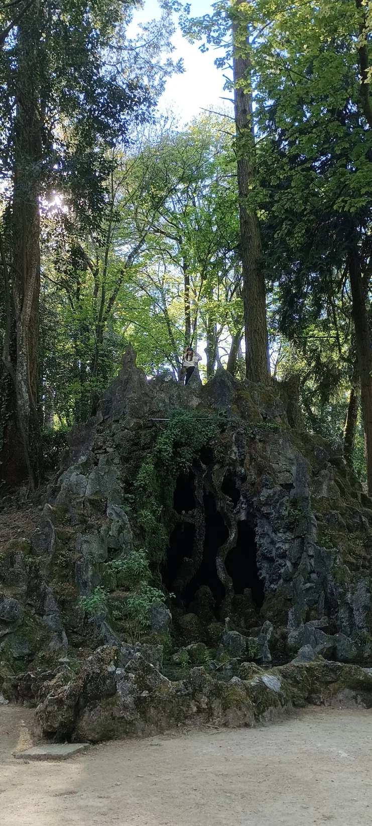 A loba da Mata do Fontelo